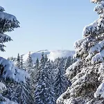 Waldlicht - Seenaehe 5 Minuten