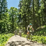 Waldlicht - Seenaehe 5 Minuten Διαμέρισμα Titisee-Neustadt
