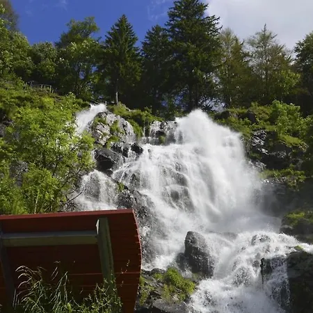 Waldlicht - Seenaehe 5 Minuten דירה טיטיזי-נוישטאדט