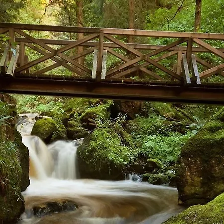 Waldlicht - Seenaehe 5 Minuten