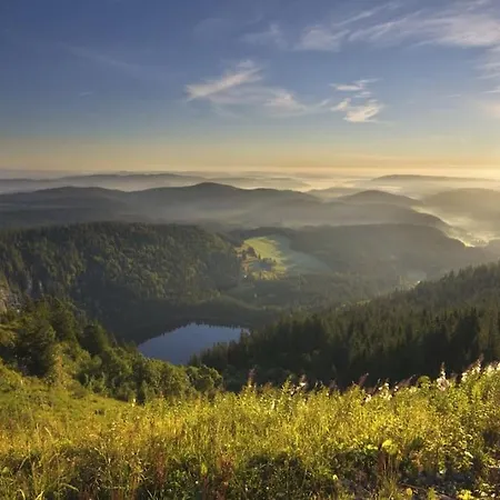 Waldlicht شقة *