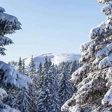 Waldlicht - Seenaehe 5 Minuten