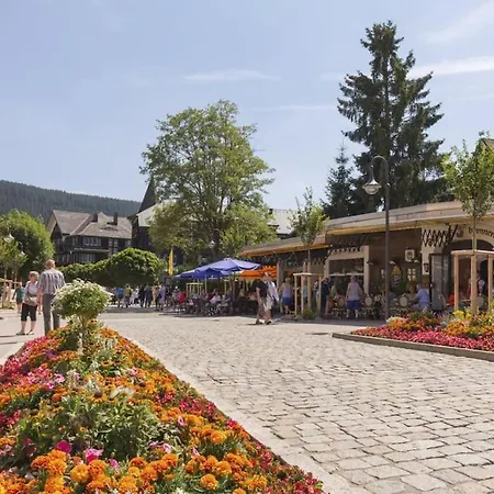 Waldlicht - Seenaehe 5 Minuten דירה טיטיזי-נוישטאדט