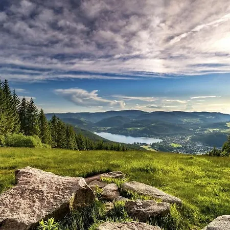 Waldlicht - Seenaehe 5 Minuten * טיטיזי-נוישטאדט