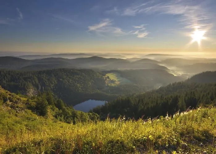 Waldlicht - Seenaehe 5 Minuten Апартаменты *